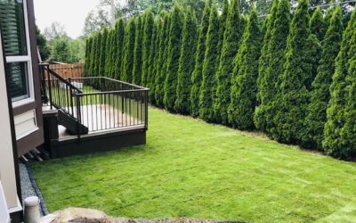 5 Reasons Why Maintenance And Landscaping Services Whistler Location, Is Beneficial